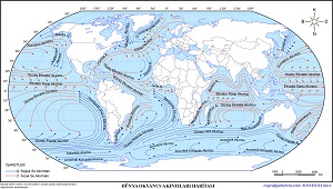 Dünya Okyanus Akıntıları Haritası