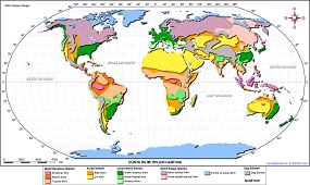 Dünya İklim Tipleri Haritası 2