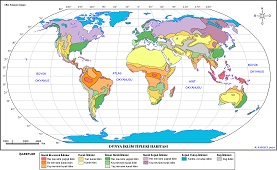 Dünya İklim Haritası