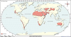 Çöl İklimi Haritası