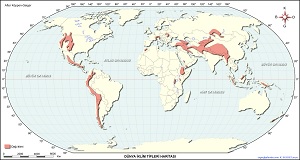 Dünya Dağ İklimi Bölgeleri Haritası