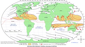 Tropikal Siklonlar Haritası