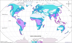 Dünya Yağış Haritası