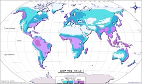 Dünya Yağış Haritası 2