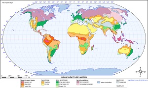 Dünya İklim Bölgeleri Haritası