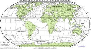 Dünya Yıllık İzoamplitüd Haritası