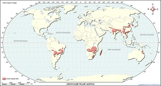 Ilıman Tropikal İklim Haritası