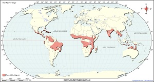Tropikal İklim Haritası