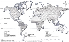 Dünya Bitki Örtüsü Haritası 3