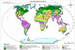Dünya Bitki Örtüsü Haritası