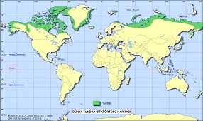 Dünya Tundra Bitki Örtüsü Haritası