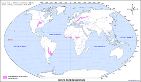 Dünya Preri ve Bozulmuş Çernezyom Toprakları Haritası