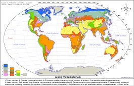 Dünya Toprak Haritası