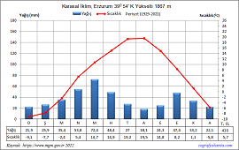 Erzurum İklim Grafiği