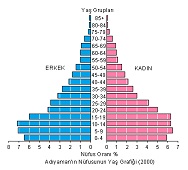 Adıyaman Nüfus Piramidi (2000)