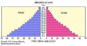 Hindistan Nüfus Piramidi (1991)
