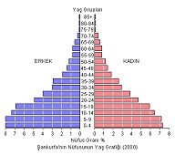 Şanlıurfa Nüfus Piramidi (2000)