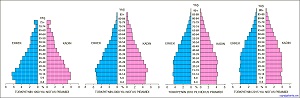 Türkiye Nüfus Piramitleri 1990-2000-2010-2015