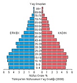 Türkiye Nüfus Piramidi (2000)