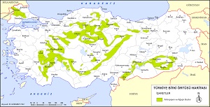 Türkiye Antropojen Bozkır Bitki Örtüsü Haritas