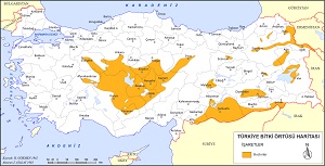 Türkiye Bozkır Bitki Örtüsü Haritası