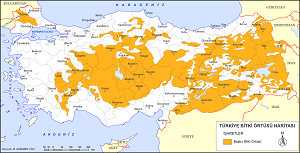 Türkiye Bozkır Bitki Örtüsü Haritası 2