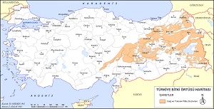 Türkiye Dağ Bozkırları Bitki Örtüsü Haritası