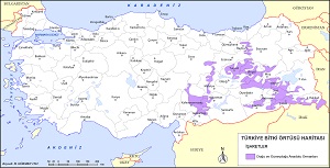Türkiye Doğu ve Güneydoğu Anadolu Orman Örtüsü Haritası