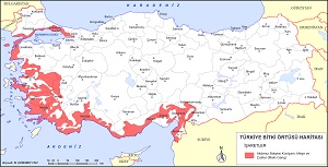 Türkiye Maki Kızılçam Bitki Örtüsü Haritası