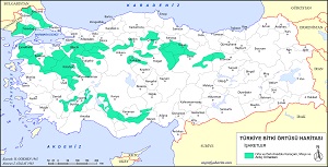 Türkiye Batı ve Orta Anadolu Meşe Karaçam Ormanları Haritası