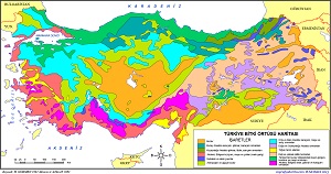 Türkiye Bitki Örtüsü Haritası