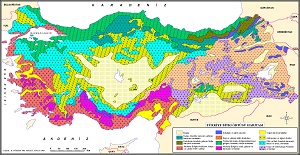 Türkiye Bitki Örtüsü Haritası 3