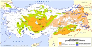 Türkiye Otsu Bitki Örtüsü Haritası
