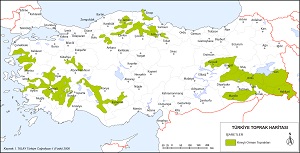 Türkiye Kireçli Orman Toprakları Haritası