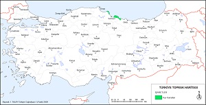 Türkiye Kıyı Kumulları Haritası