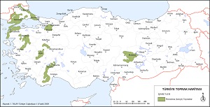 Türkiye Rendzina Topraklar Haritası