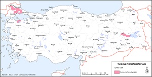 Türkiye Vertisol Topraklar Haritası