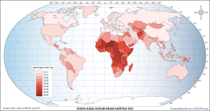 Dünya 2021 Kaba Doğum Oranı Haritası