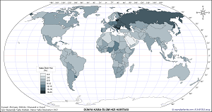 Dünya 2022 Ölüm Oranları Haritas