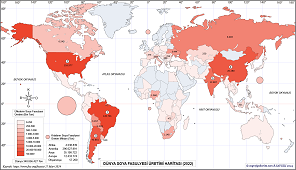 Dünya Soya Fasulyesi Haritası