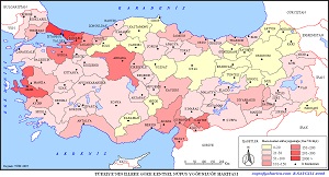 Türkiye 2007 İllere Göre Şehir Nüfus Yoğunluğu Haritası