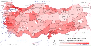 Türkiye 2011 Nüfus Yoğunluğu Haritası