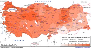 Türkiye 2019 Yetişkin Nüfus Haritası