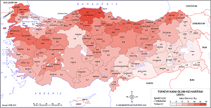 Türkiye 2021 Kaba Ölüm Hızı Haritası