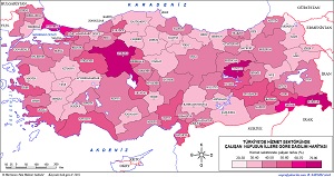 Türkiye'de Hizmet Sektöründe Çalışan Nüfus Haritası 2
