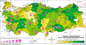 Türkiye'de Tarım Sektöründe Çalışan Nüfus Haritası