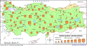 Türkiye Buğday Üretim Haritası (2017)