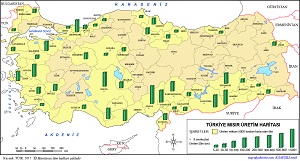 Türkiye Mısır Üretim Haritası (2017)