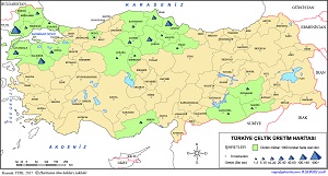 Türkiye Pirinç Üretim Haritası (2017)