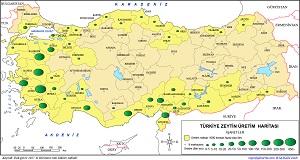 Türkiye Zeytin Üretim Haritası (2017)
